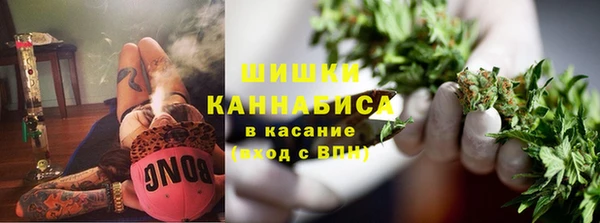 индика Балабаново