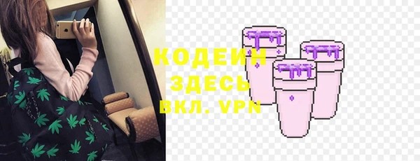 индика Балабаново